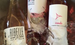 35049488_10216283964281317_3544724899815751680_o