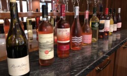 44255277_10217311987421253_3385533770940547072_n