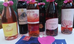 Agosto festival di venezia 2017