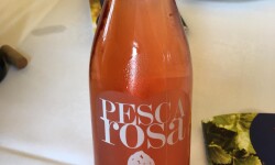 35026475_10216283962961284_3393300944417456128_o