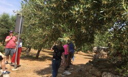 33186877_10216135335045679_4039439530984472576_n